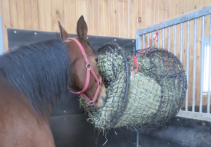 tumble feeder hung in stall